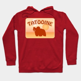 Tatooine Travel Decal Hoodie